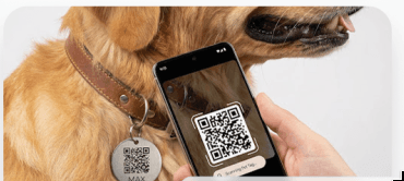 Placa QR en mascota